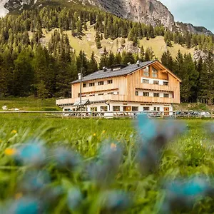 Alpenrose Misurina